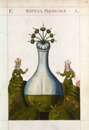 natura medicine